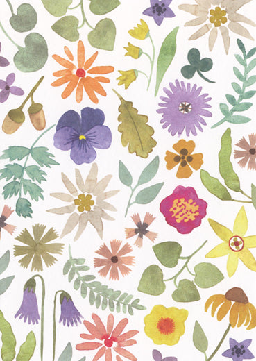 alpenflora