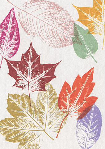 leaves fall